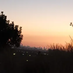 Local Art Exhibitions - El'ad (Elad)