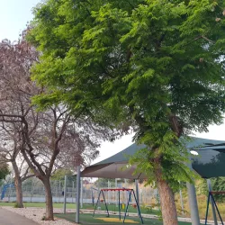 Neighborhood Parks - El'ad (Elad)