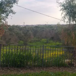 Neighborhood Parks - El'ad (Elad)