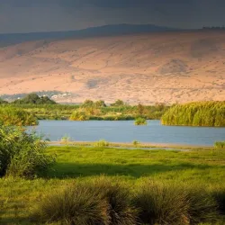 Hula Valley Nature Reserve - Gan Shmuel