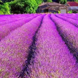 Jezreel Valley Regional Park - Givat Ela