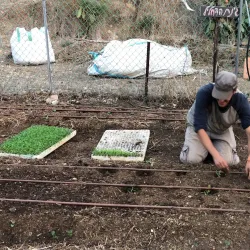 Local Agricultural Farms - Givat Ela