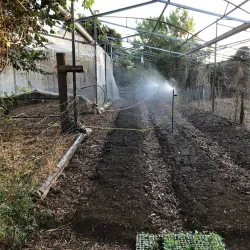 Local Agricultural Farms - Givat Ela