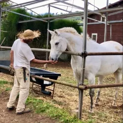 Local Agricultural Farms - Givat Ela