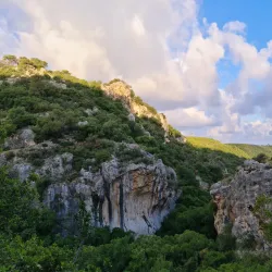 Mount Carmel Nature Reserve - Givat Ela