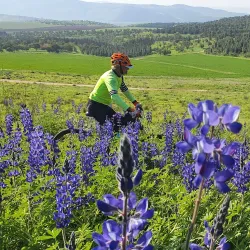 Nature Trails Around Givat Ela - Givat Ela