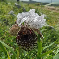 Nature Trails Around Givat Ela - Givat Ela
