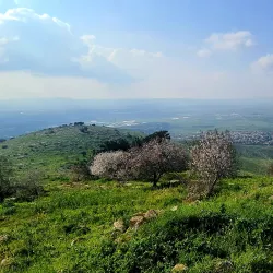 Nature Trails Around Givat Ela - Givat Ela