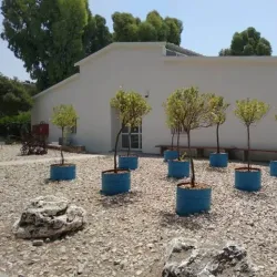 Local Art Exhibitions - Givat Shmuel