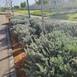 Walking and Biking Trails - Givat Shmuel