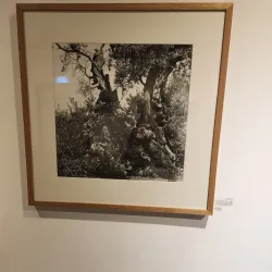 Givatayim Art Gallery - Givatayim