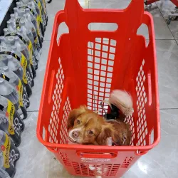 Givatayim Market - Givatayim