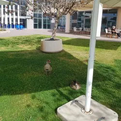 Givatayim Sports Complex - Givatayim