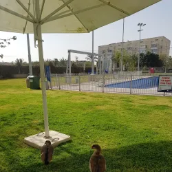 Givatayim Sports Complex - Givatayim