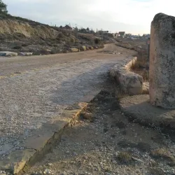 Elazar Settlement - Gush Etzion
