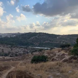Nahal Dolev Nature Reserve - Gush Etzion