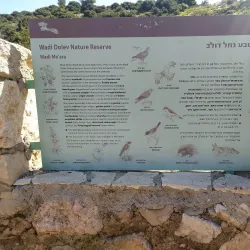 Nahal Dolev Nature Reserve - Gush Etzion