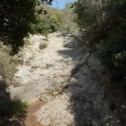 Nahal Dolev Nature Reserve - Gush Etzion
