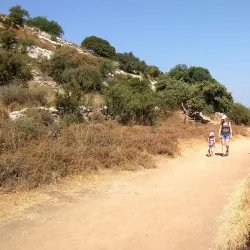 Nahal Dolev Nature Reserve - Gush Etzion