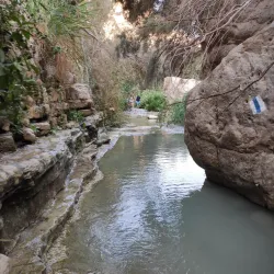 Nahal Tekoa Nature Reserve - Gush Etzion