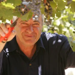 The Gush Etzion Winery - Gush Etzion