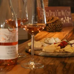 The Gush Etzion Winery - Gush Etzion