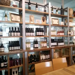 The Gush Etzion Winery - Gush Etzion