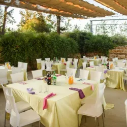 The Gush Etzion Winery - Gush Etzion