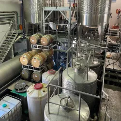 The Gush Etzion Winery - Gush Etzion