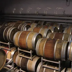 The Gush Etzion Winery - Gush Etzion