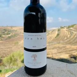 The Gush Etzion Winery - Gush Etzion