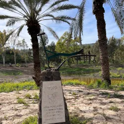 Eucalyptus Groves - Hadera