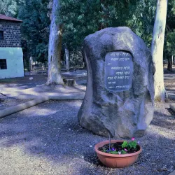 Eucalyptus Groves - Hadera