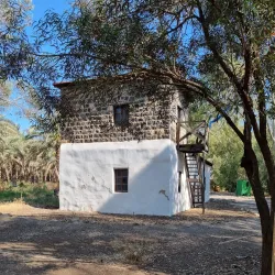 Eucalyptus Groves - Hadera