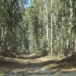 Gan Ha'ir Park - Hadera