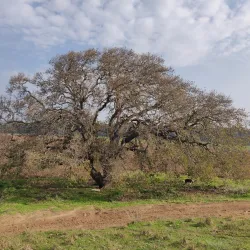 Gan Ha'ir Park - Hadera