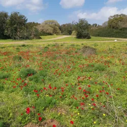 Gan Ha'ir Park - Hadera
