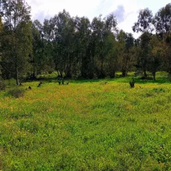 Gan Ha'ir Park - Hadera