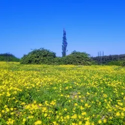 Gan Ha'ir Park - Hadera