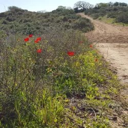 Gan Ha'ir Park - Hadera