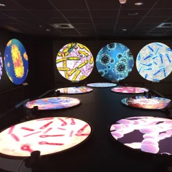 Hadera Museum - Hadera