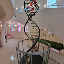 Hadera Museum - Hadera