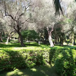 Bahá'í Gardens and Shrine - Haifa