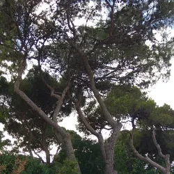 Louis Promenade - Haifa