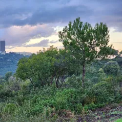 Mount Carmel National Park - Haifa