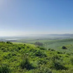 Jezreel Valley - Harish