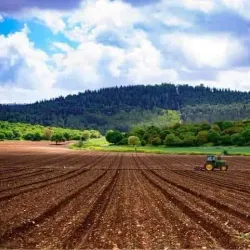 Jezreel Valley - Harish