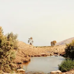 Jezreel Valley - Harish