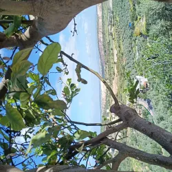 Nearby Wadi Ara - Harish