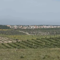 Nearby Wadi Ara - Harish